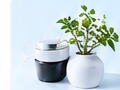 Dược mỹ phẩm